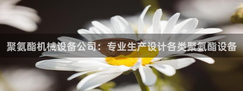 九游会平台网址